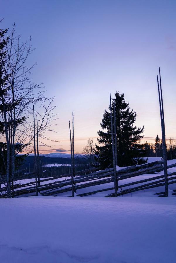 Asarna Skicenter Εξωτερικό φωτογραφία